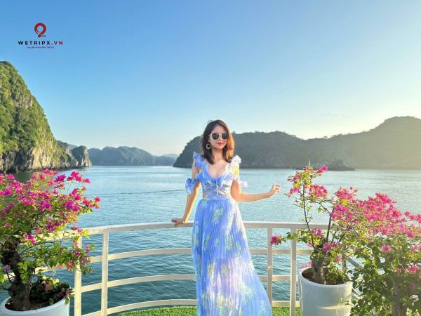 tour ngắm bình minh vịnh lan hạ - daiichi crusie