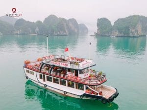 tour ngắm bình minh vịnh lan hạ - daiichi crusie