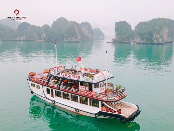 tour ngắm bình minh vịnh lan hạ - daiichi crusie