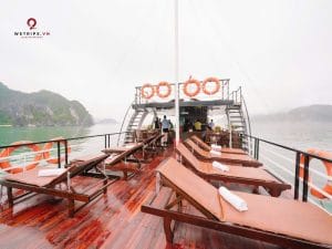 tour ngắm bình minh vịnh lan hạ - daiichi crusie