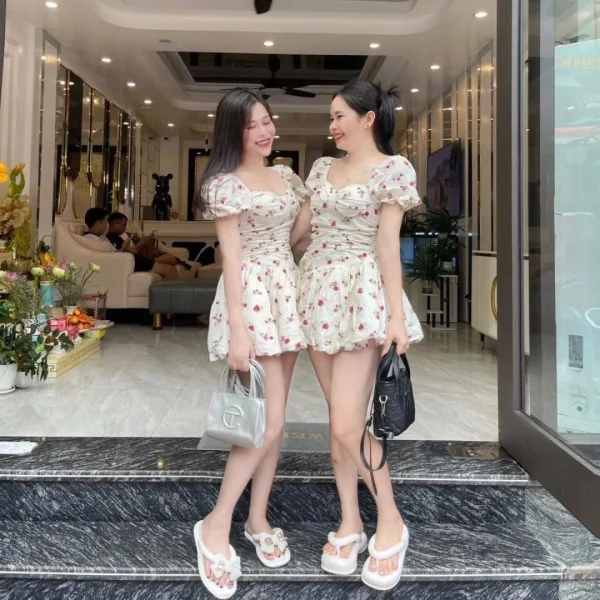 tour cát bà 2 ngày 1 đêm