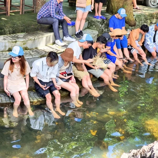 tour cát bà 2 ngày 1 đêm