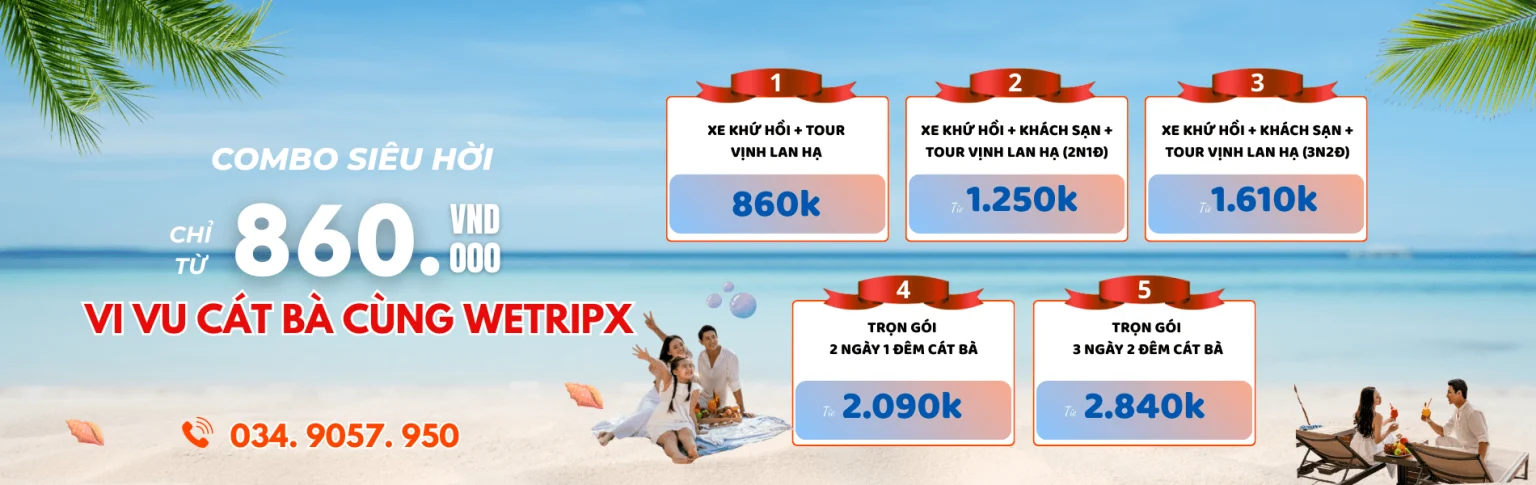 banner web
