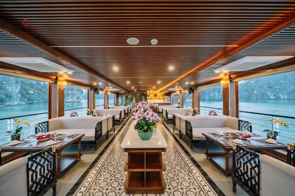 tour vịnh lan hạ - du thuyền cát bà dream cruise