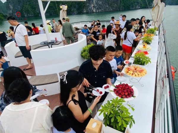 tour vịnh lan hạ - du thuyền cát bà dream cruise