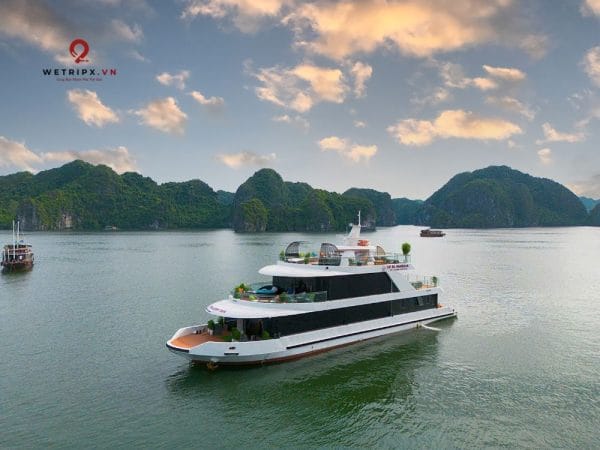 tour vịnh lan hạ-d'charme luxury cruise