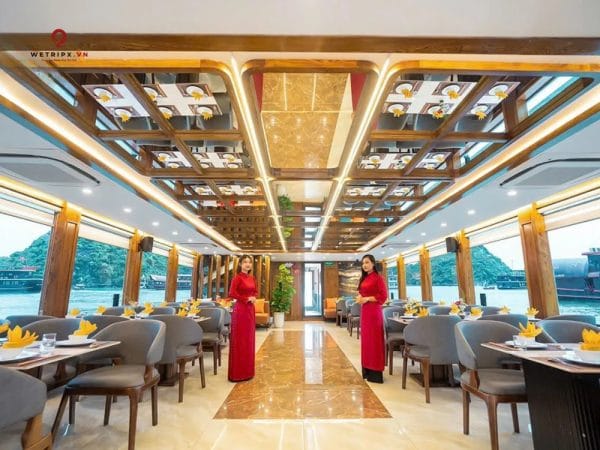 tour vịnh lan hạ du thuyền d'charme luxury cruise