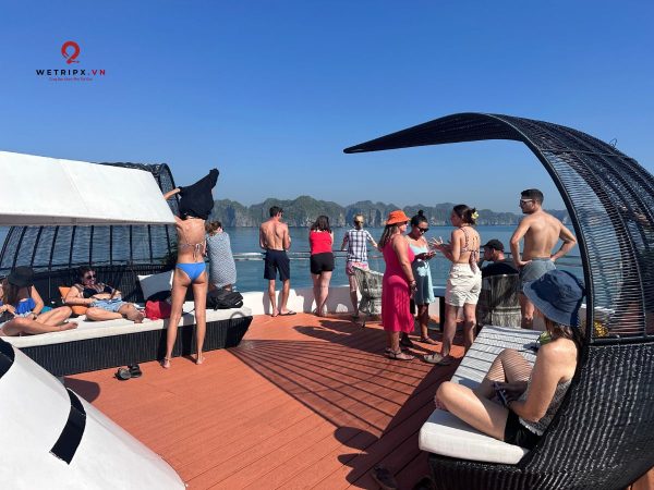 tour vịnh lan hạ-d'charme luxury cruise