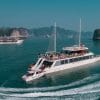 Du thuyền Cát Bà Catamaran 5 sao trên vịnh Lan Hạ