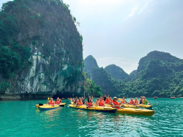 Du thuyền Cát Bà Catamaran 5 sao trên vịnh Lan Hạ