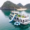 nam cat cruise