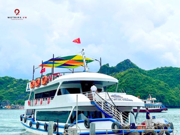 du thuyền 5 sao sea star cát bà vịnh lan hạ