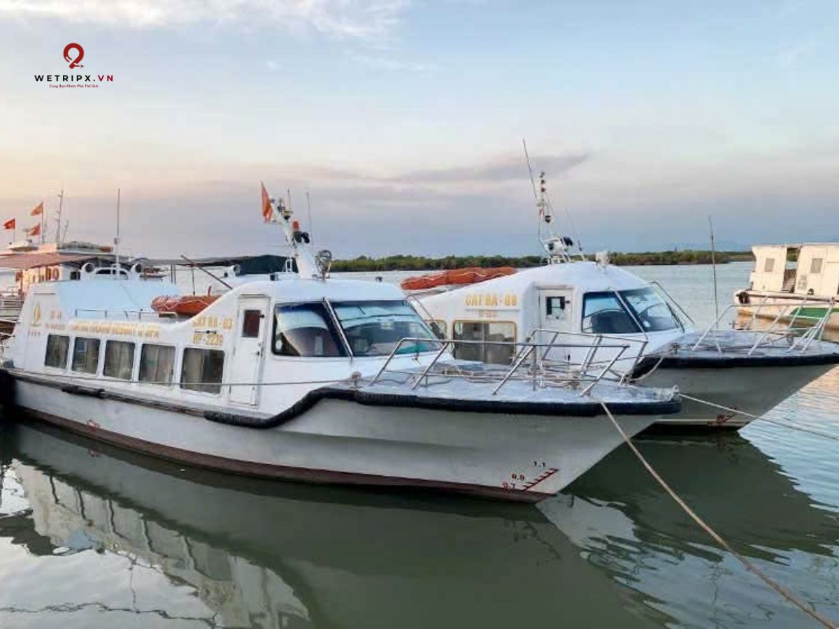tàu cao tốc sang đảo Cát Bà