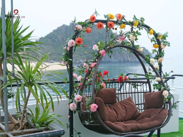 tour vịnh lan hạ - nam cát cruise