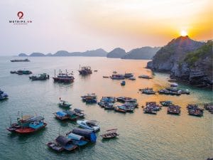 Tour ngắm bình minh Vịnh Lan Hạ