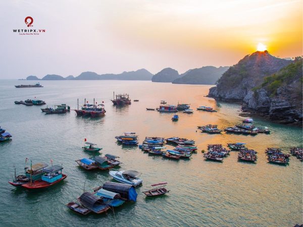 Tour ngắm bình minh Vịnh Lan Hạ