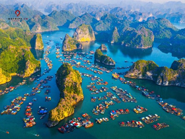 Tour ngắm bình minh Vịnh Lan Hạ