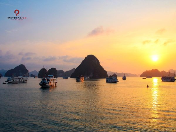 Tour ngắm bình minh Vịnh Lan Hạ