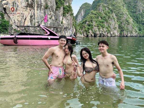 tour sữa cano cát bà - vịnh lan hạ