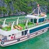 tour tham quan vịnh lan hạ