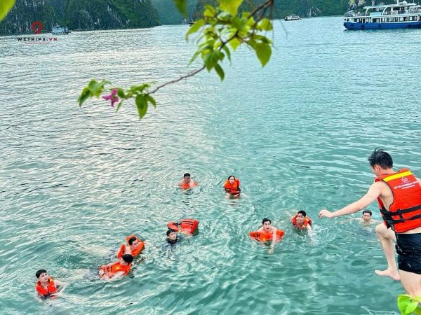 tour vịnh lan hạ nửa ngày ngắm hoàng hôn
