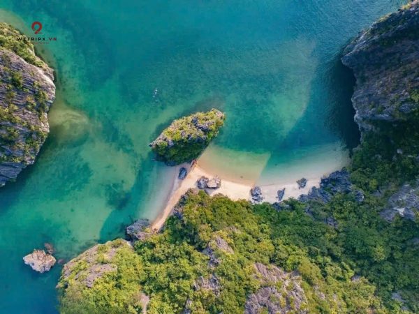 tour tham quan vịnh lan hạ