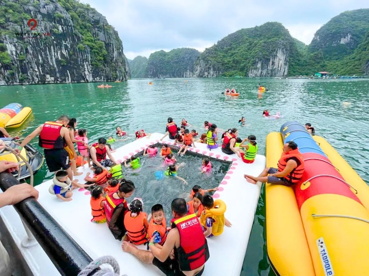 Tour Sunset Nửa Ngày Vịnh Lan Hạ - Giá Chỉ Từ 380k