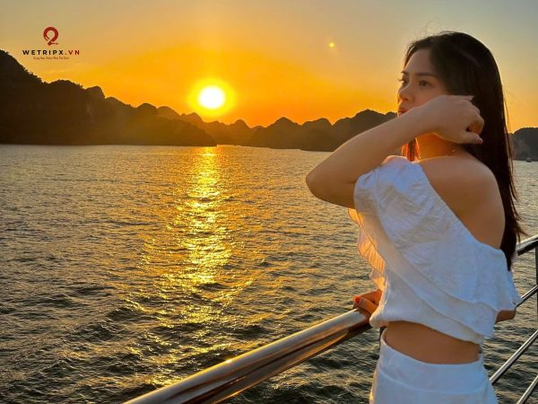 du thuyền cát bà bay luxury cruise 86 vịnh lan hạ