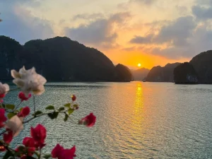 tour vịnh lan hạ nửa ngày - ngắm hoàng hôn tàu daiichi cruise