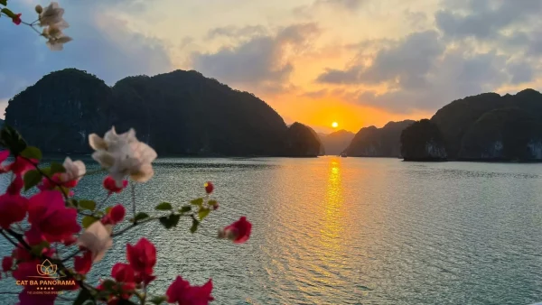 tour vịnh lan hạ nửa ngày - ngắm hoàng hôn tàu daiichi cruise