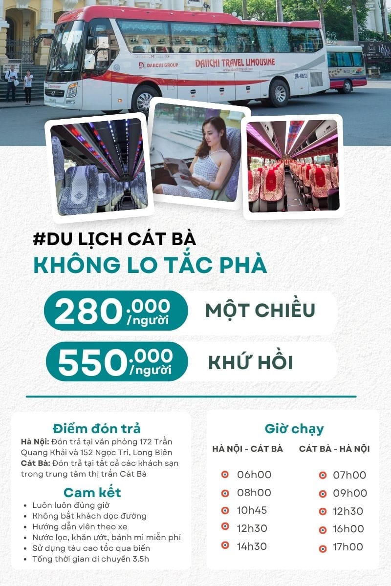 thông tin xe khách hà nội cát bà