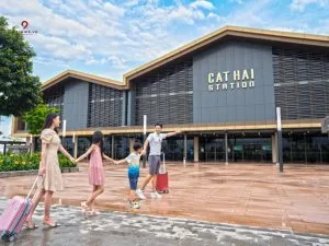 xe hà nội cát bà đi cáp treo