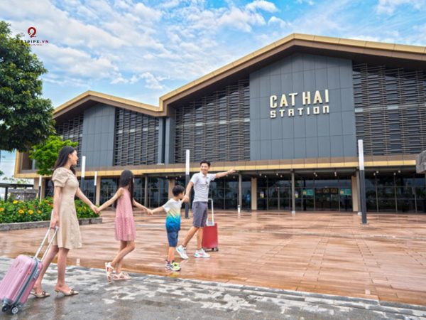 xe hà nội cát bà đi cáp treo