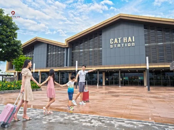 xe hà nội cát bà đi cáp treo