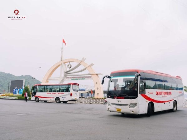 xe khách đi Cát Bà - Daiichi travel