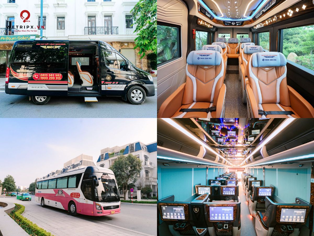 Xe Limousine Hà Nội Cát Bà: Top 5 Hãng Chất Lượng Nhất 2025 4 Limousine Hà Nội Cát Bà Anh Huy Đất Cảng