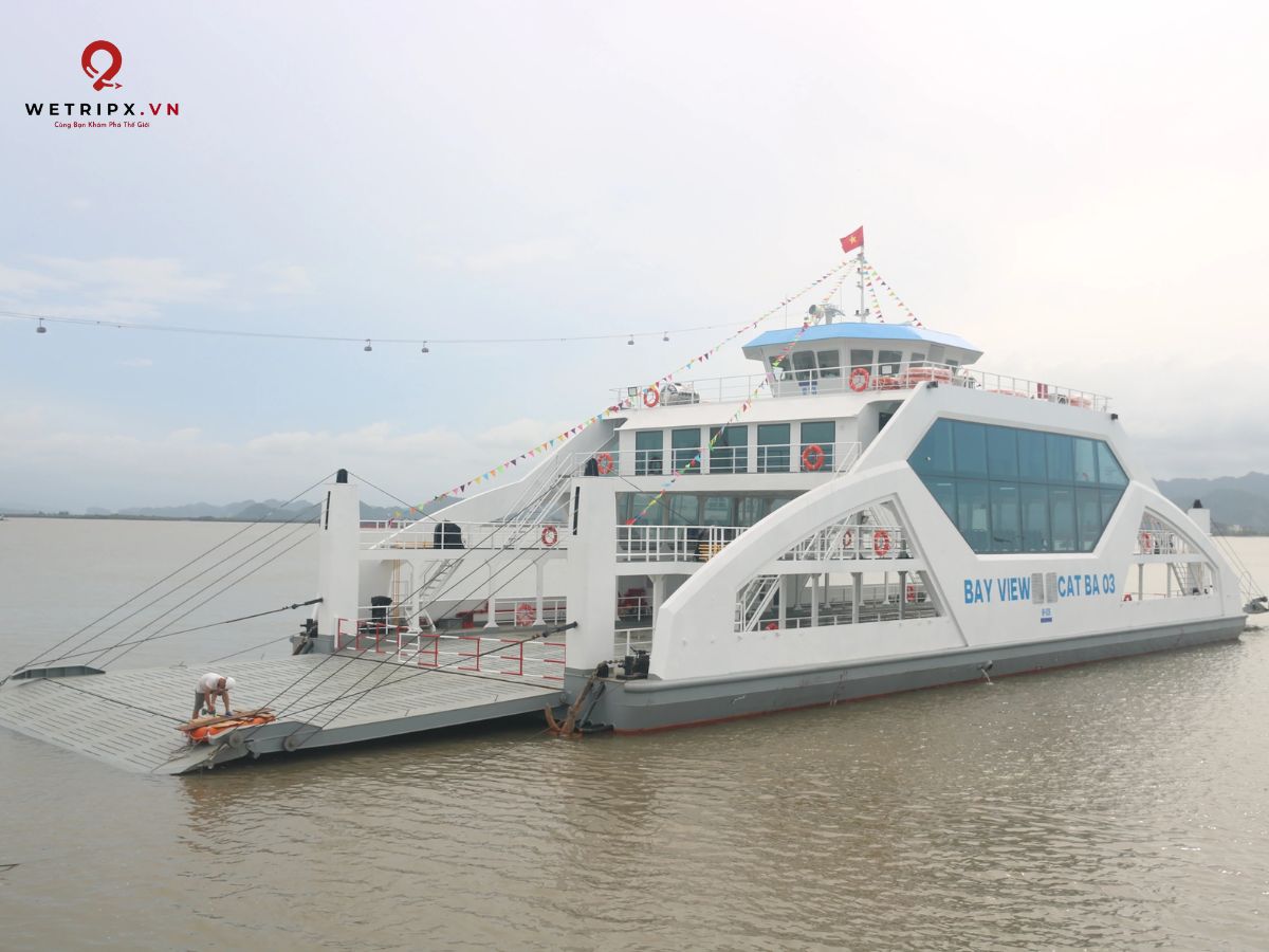Bến Phà Đồng Bài - Cát Bà: Giờ Phà & Giá Vé 2025 (Cập Nhật Mới Nhất) 2 bến phà đồng Bài