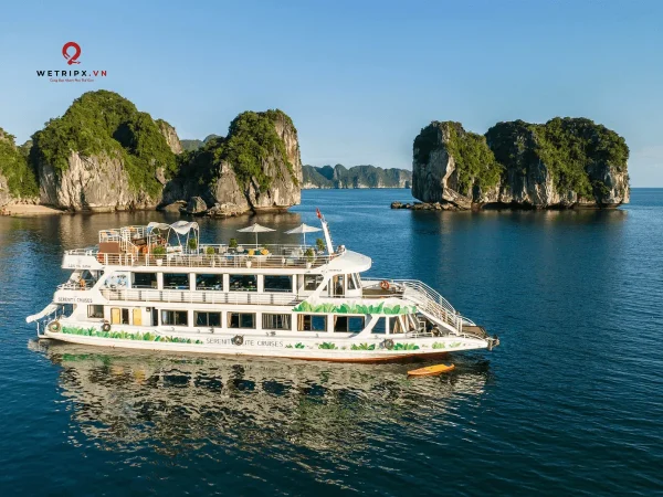 tour vịnh lan hạ 1 ngày du thuyền senerity explorertour vịnh lan hạ 1 ngày du thuyền senerity explorer