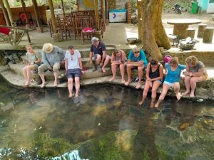 Experience the refreshing sensation of a fish foot massage.