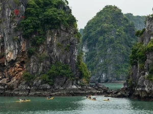 cat ba tropical day cruise 15