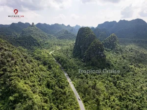 A peaceful drive through Cat Ba’s lush jungle valley