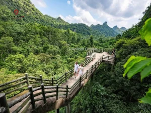 cat ba tropical day cruise 8