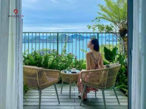 check-in flamingo cát bà