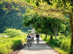 Explore Viet Hai village by bike and enjoy its untouched beauty.