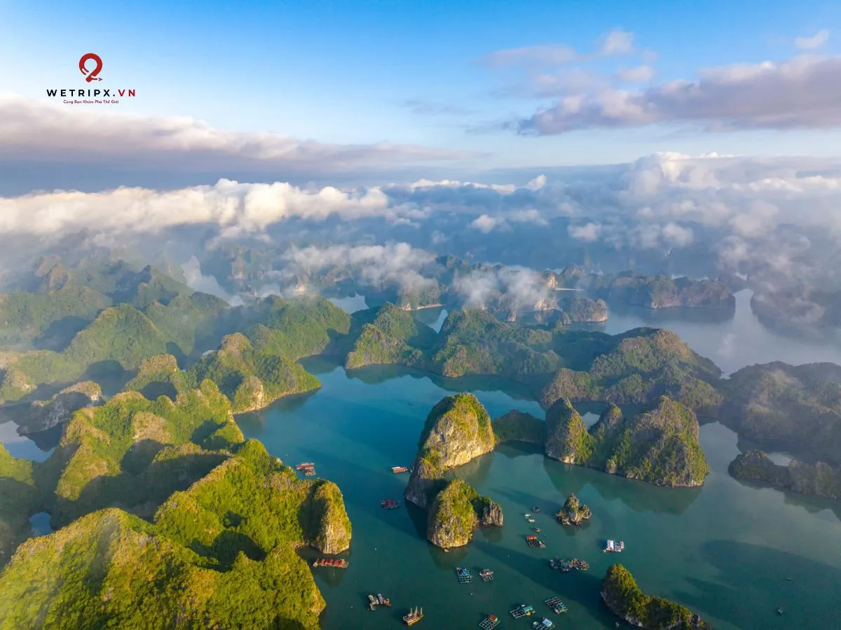 Lài Chài Nổi Cái Bèo, Vịnh Lan Hạ