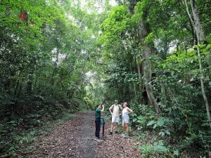 one day trekking cat ba 3
