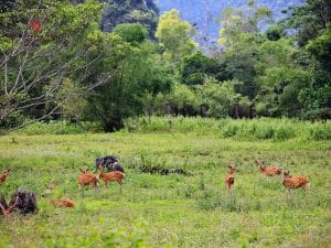 one day trekking cat ba 8