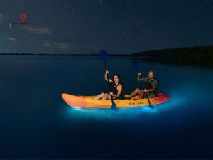 tour ngam lan tinh 5