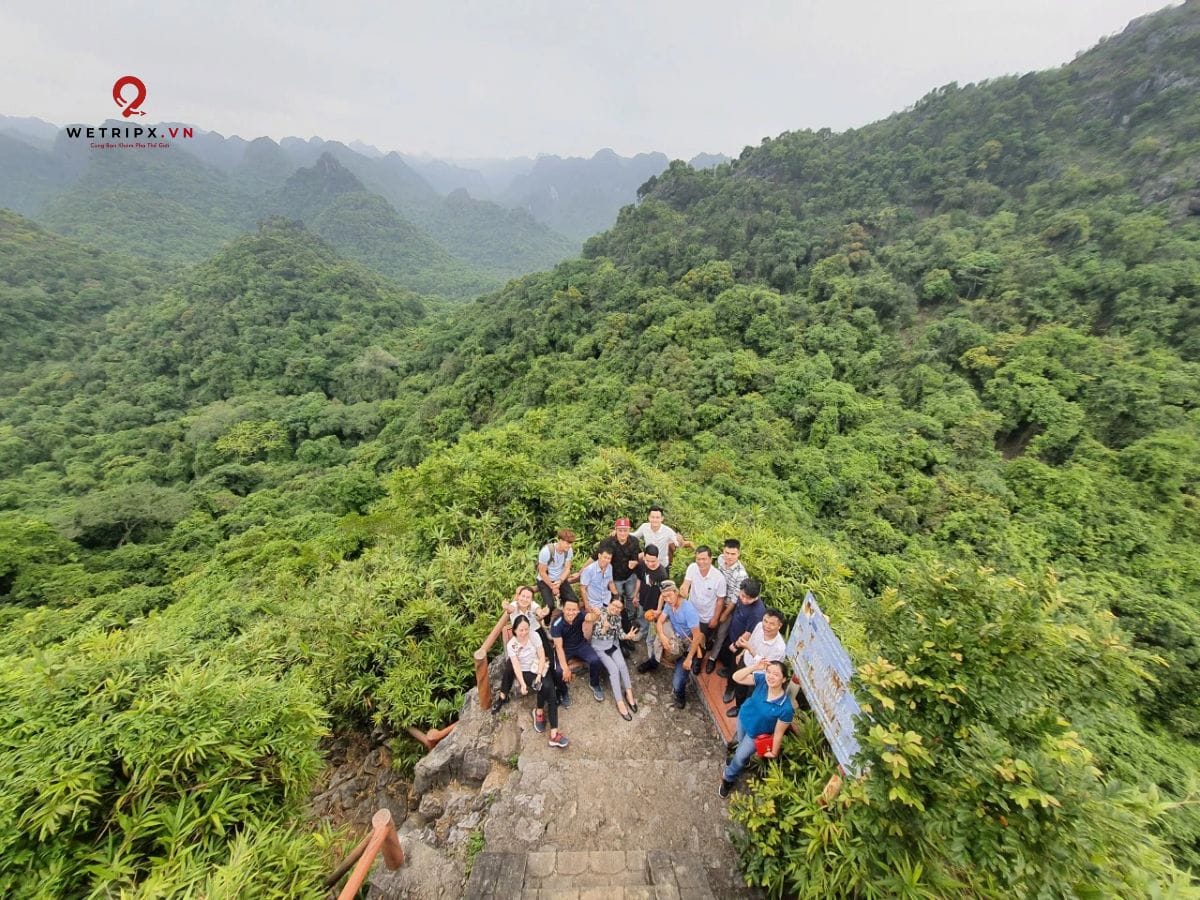 Half-Day Trekking in Cat Ba National Park 6 Half-Day Trekking in Cat Ba National Park - Image 6