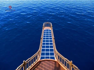 Daiichi Luxury Cruise